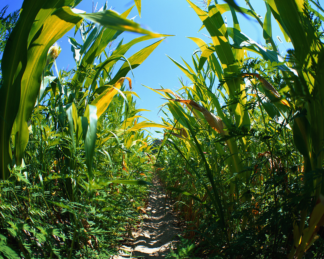 Become an Advocate for Agriculture! | Kansas Grains